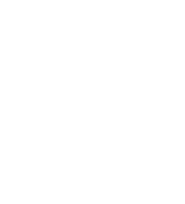 New South Wales Government logo